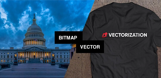 Where can be bitmap and vector images used?